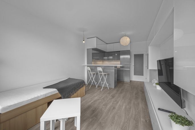 Prodej, Byt 1+kk, Praha