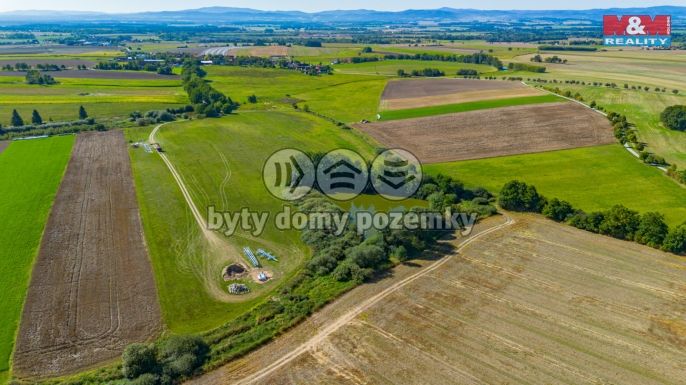 Prodej, Zemědělská usedlost, Dříteň