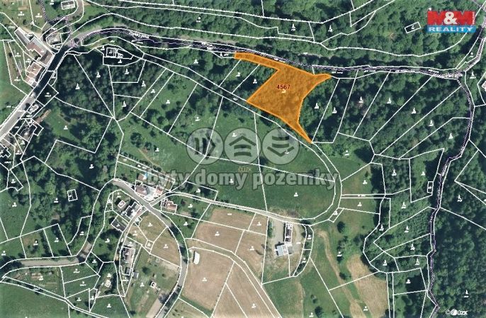 Prodej, Les, Koberovy