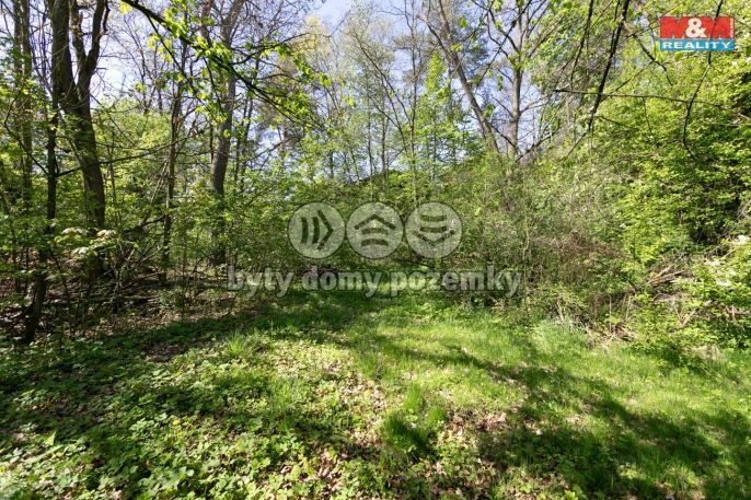 Prodej, Pozemek k bydlení, Horšovský Týn