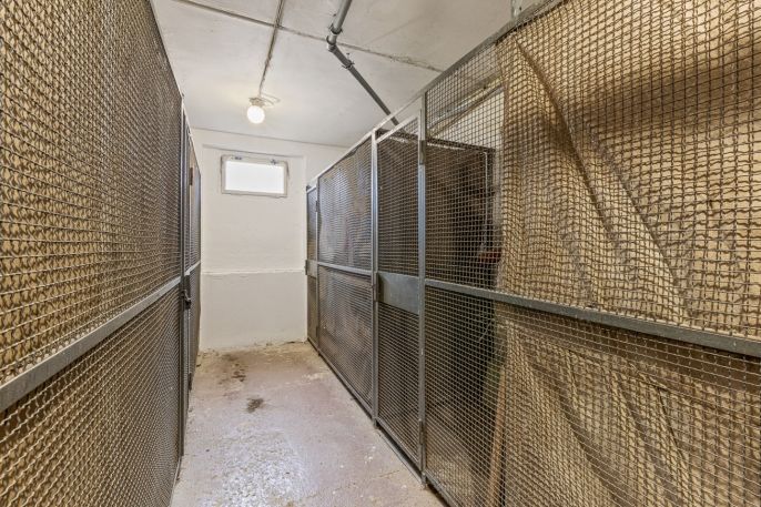 Prodej, Byt 3+1, Petrovice