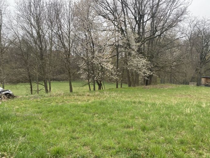 Prodej, Pozemek k bydlení, Dobruška