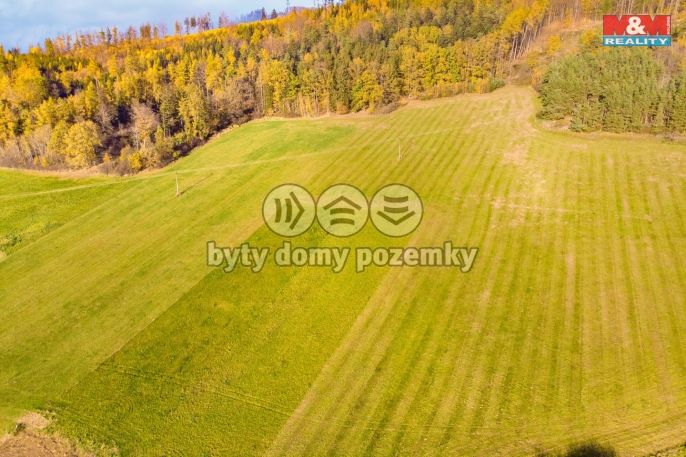 Prodej, Pole, Mochtín