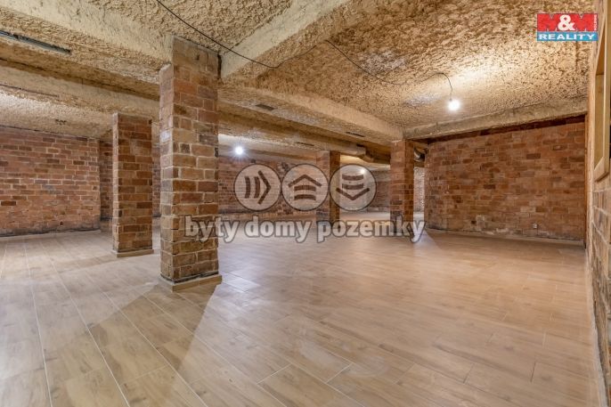 Pronájem, Restaurace, stravování, Třinec