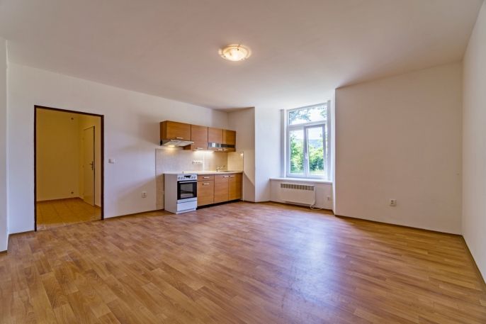 Pronájem, Byt 1+kk, Vlčice