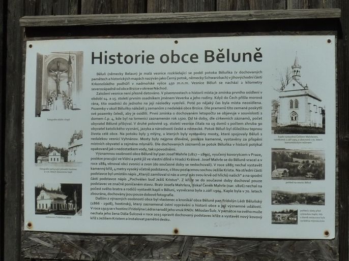 Prodej, Pozemek k bydlení, Brzice