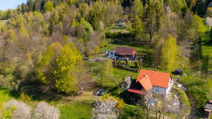 Prodej, Chalupa, Bystřice