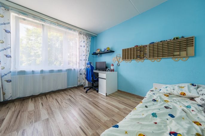 Prodej, Byt 3+1, Chomutov