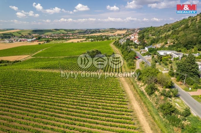 Prodej, Pozemek k bydlení, Viničné Šumice