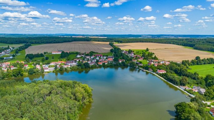 Prodej, Chalupa, Borovany