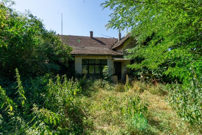 Prodej, Rodinný dům, Holice