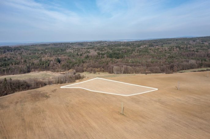 Prodej, Pole, Plzeň