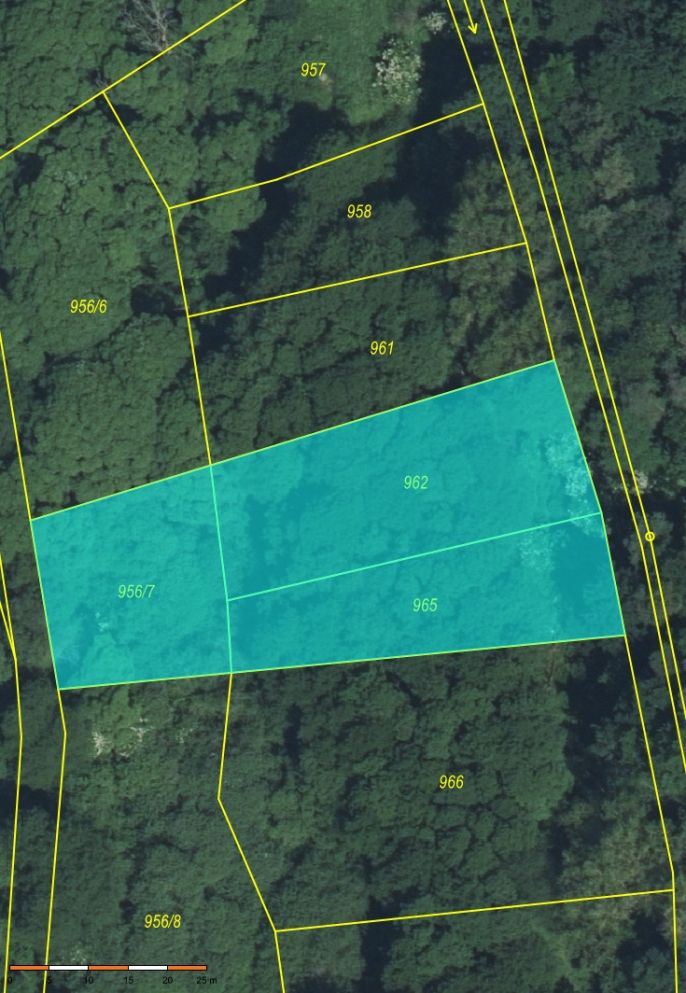 Prodej, Les, Snědovice