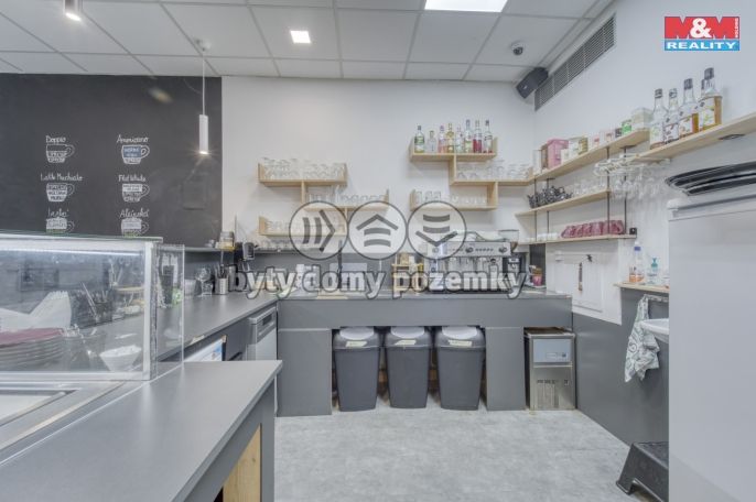 Pronájem, Obchodní objekt, Třemošná