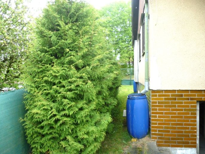 Prodej, Chata, Stříbrná Skalice