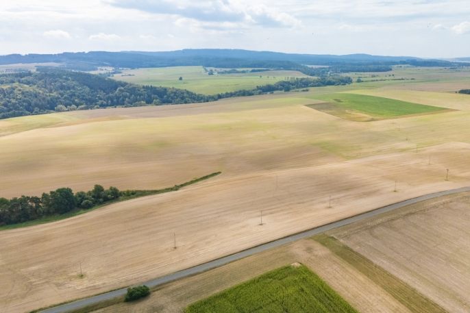 Prodej, Pole, Hlohovice