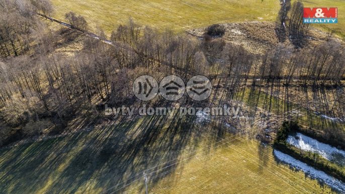 Prodej, Louka, Dětřichov