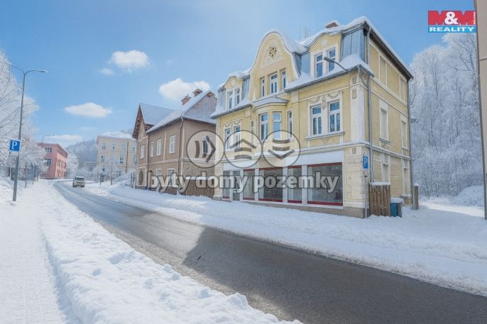 Pronájem, Obchod a služby, Tanvald