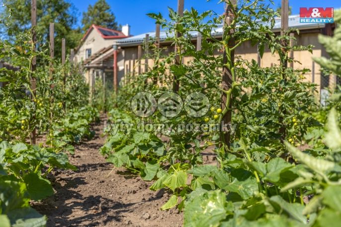 Prodej, Rodinný dům, Podbořany