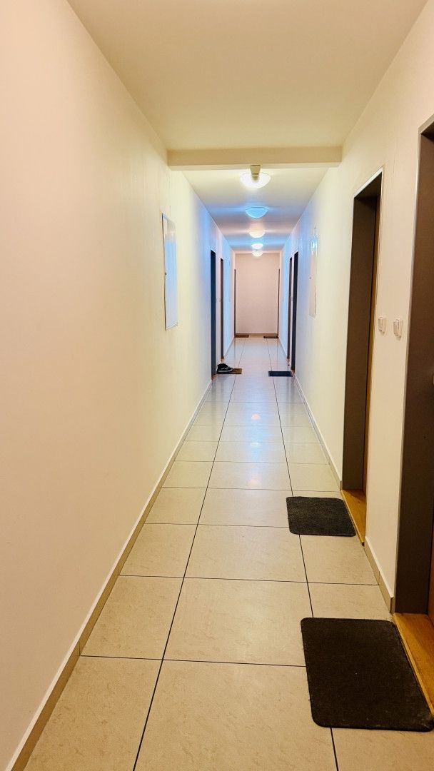 Prodej, Byt 1+kk, Brno