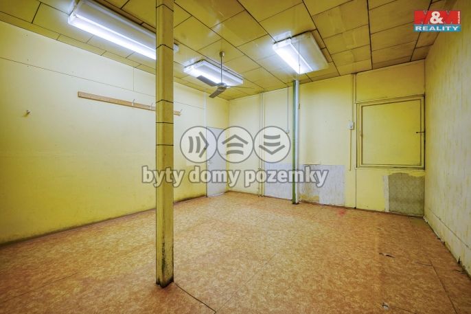 Pronájem, Obchod a služby, Třemošná