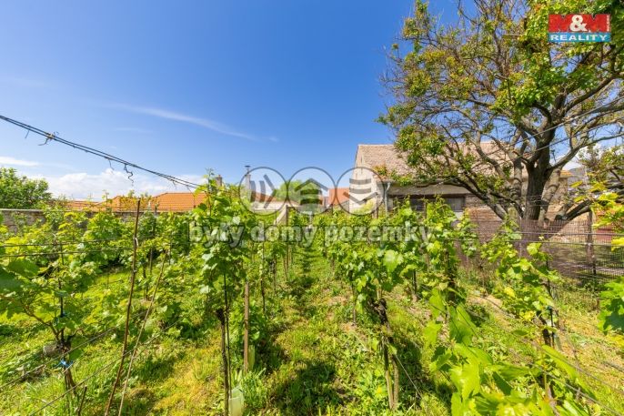 Prodej, Zemědělská usedlost, Šumice