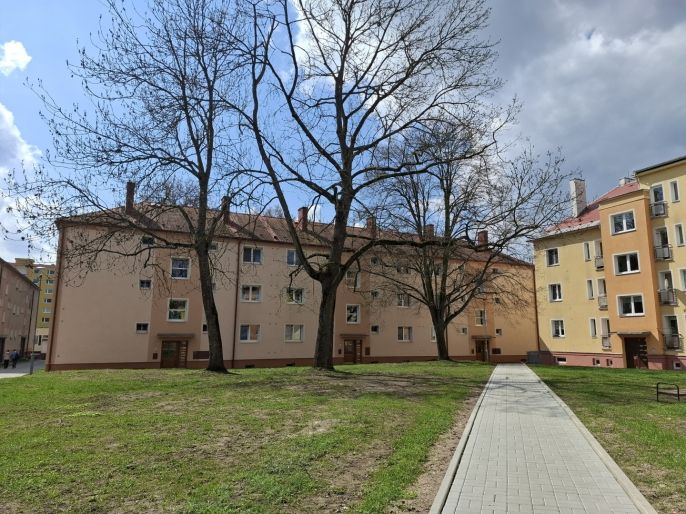 Pronájem, Byt 2+1, Ostrov