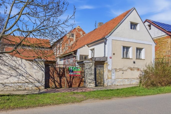 Prodej, Zemědělská usedlost, Kněževes