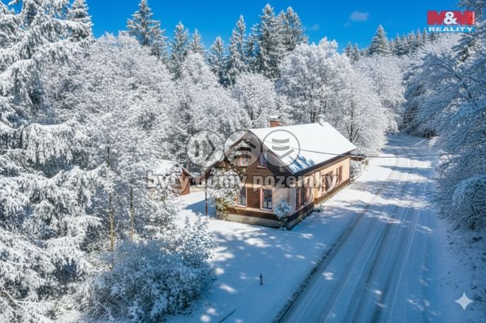 Prodej, Hotel, penzion, Rokytnice nad Jizerou