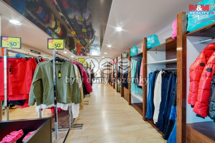 Pronájem, Obchod a služby, Mariánské Lázně