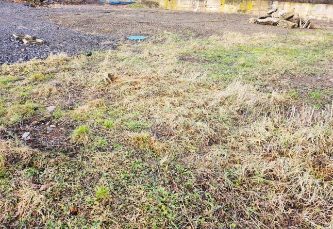 Prodej, Pozemek k bydlení, Dubí