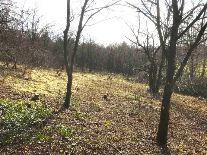 Prodej, Zahrada, Postoloprty