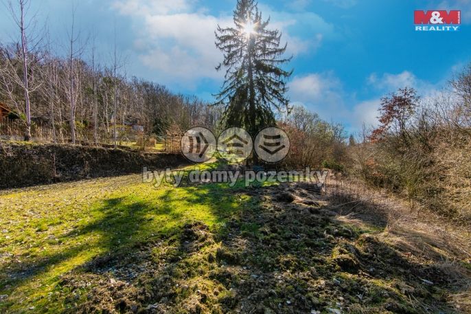 Prodej, Ostatní, Jílové u Prahy