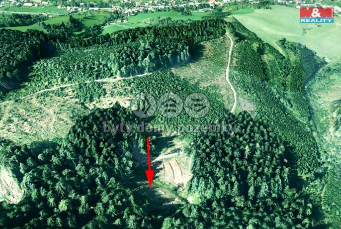 Prodej, Les, Lhota u Vsetína