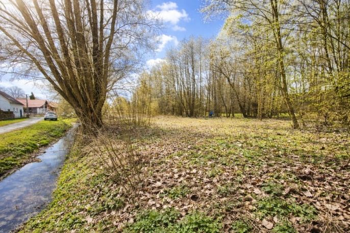 Prodej, Zahrada, Kořenice