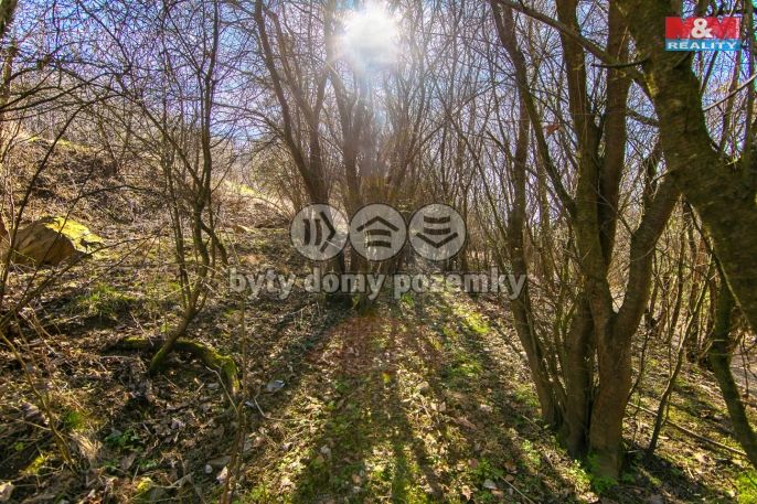 Prodej, Ostatní, Jílové u Prahy