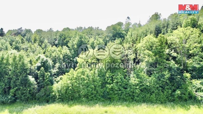 Prodej, Les, Vyšehoří