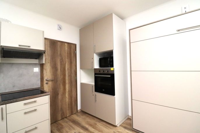 Pronájem, Byt 1+kk, Ostrov