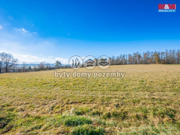 Prodej, Louka, Benešov