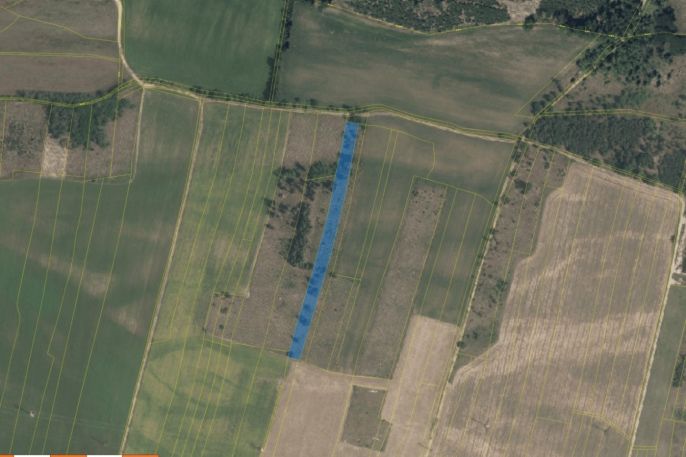 Prodej, Les, Veletov