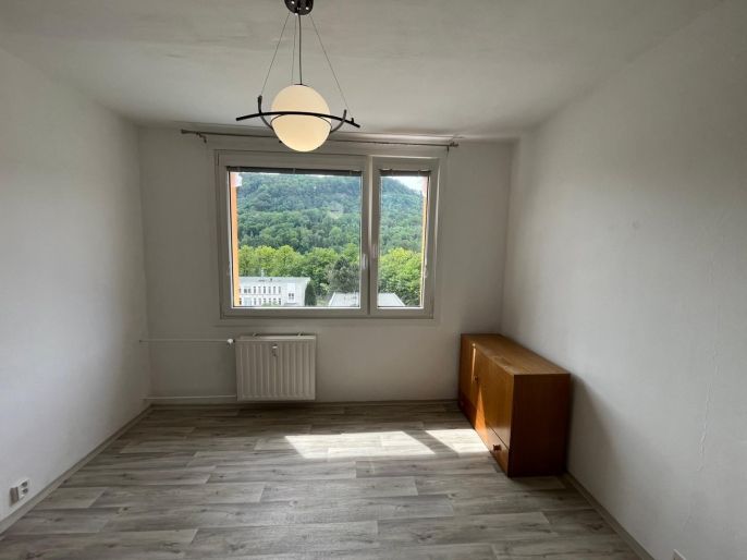 Pronájem, Byt 1+1, Děčín