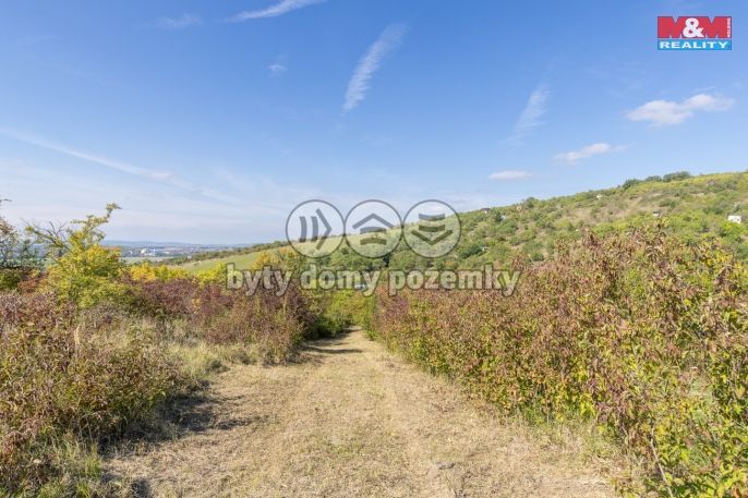 Prodej, Zahrada, Židlochovice