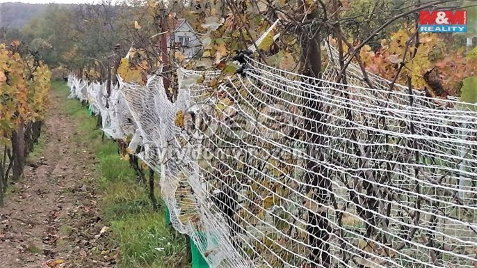 Prodej, Vinice, Břeclav