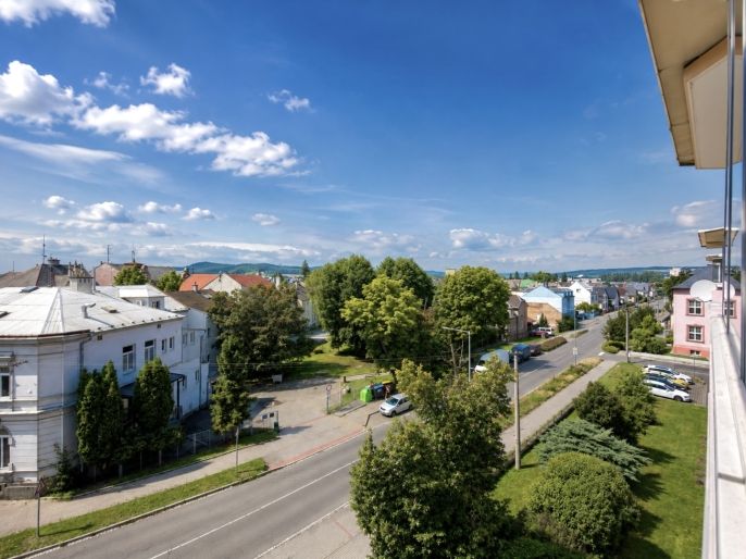 Prodej, Byt 3+1, Krnov