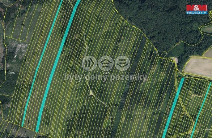 Prodej, Les, Nová Hradečná