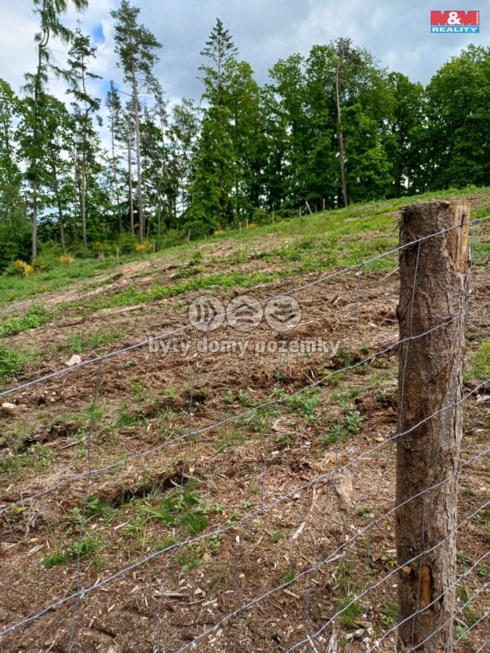 Prodej, Les, Hrazany