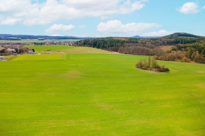 Prodej, Pole, Buková u Příbramě