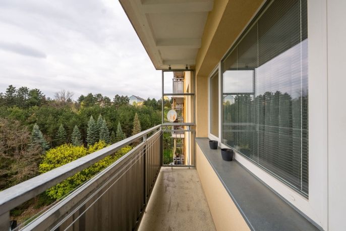 Prodej, Byt 3+1, Brno