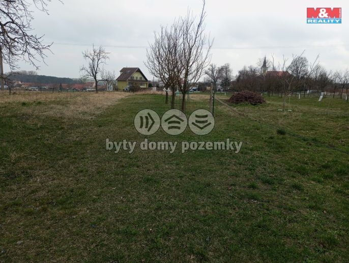 Prodej, Vinný sklep, Vacenovice