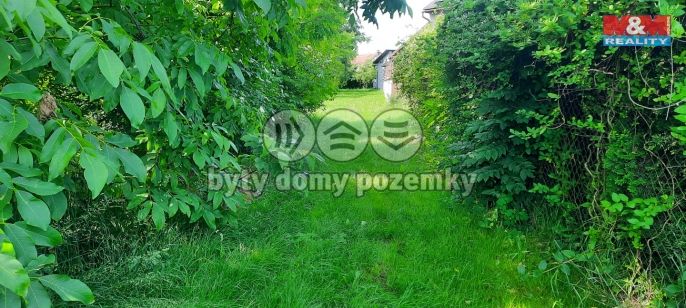 Prodej, Zahrada, Loučany